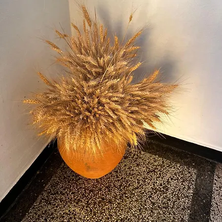 Guest house Kъща за гости христина Lozenets