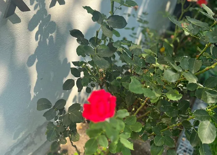 Kъща за гости христина Lozenec