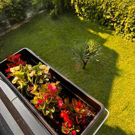 Kъща за гости христина Pensión Lozenets