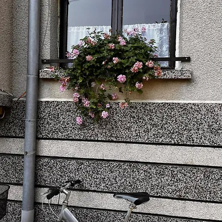 Kъща за гости христина Guest house Lozenets